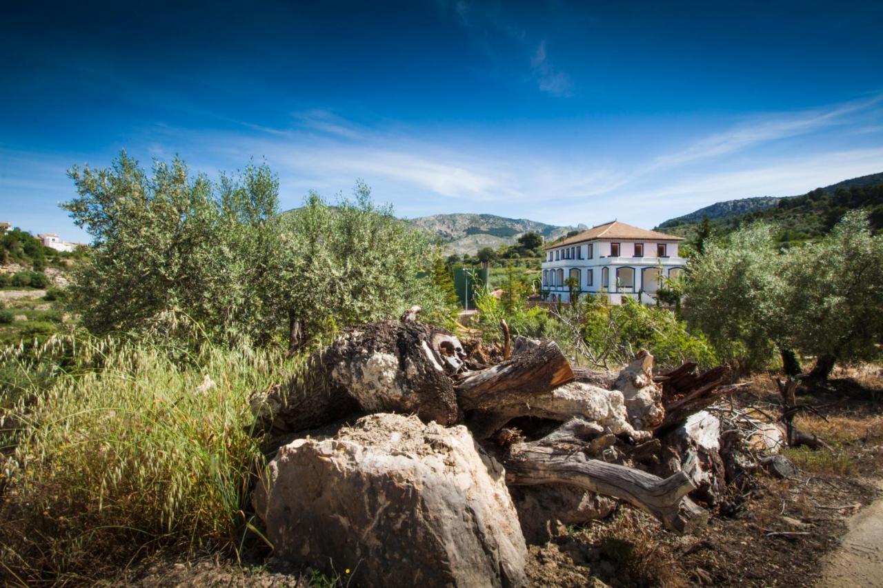 Alcoleja Casa Amparo - Alquiler Integro Con Encanto En Alicante מראה חיצוני תמונה