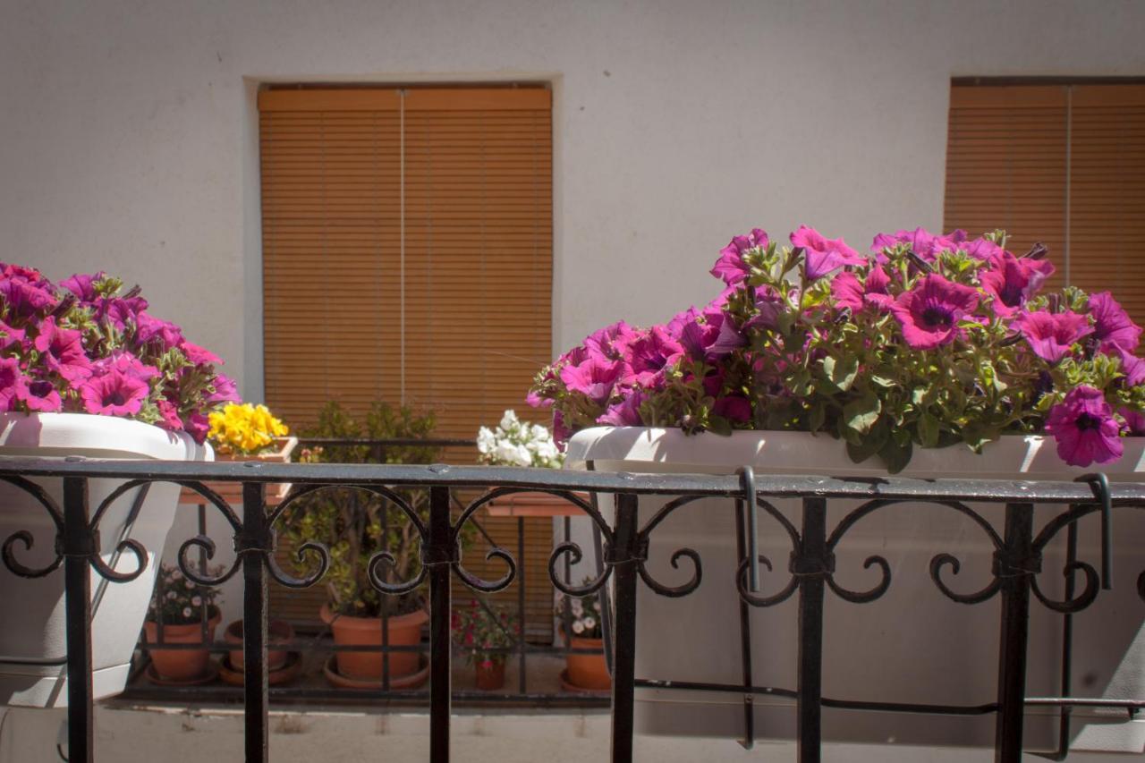 Alcoleja Casa Amparo - Alquiler Integro Con Encanto En Alicante מראה חיצוני תמונה